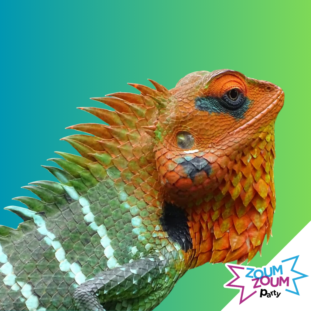 Fête Reptiles