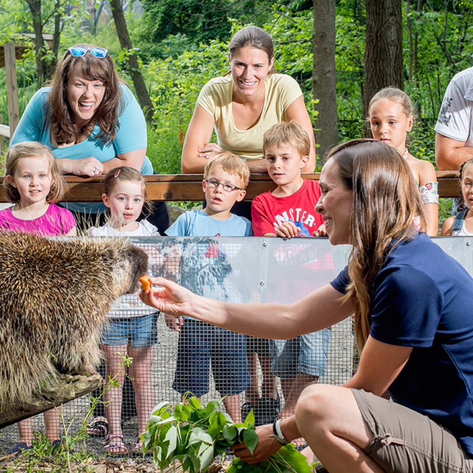 Zoo Ecomuseum-Fêtes d&
